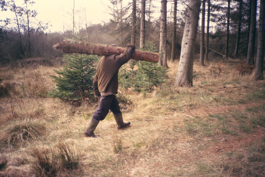 http://www.peterhelles.dk/files/gimgs/36_007.jpg